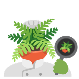 cooking and potted plant