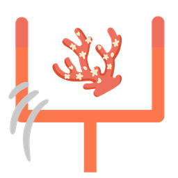 coral and american football