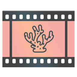 coral and film frames