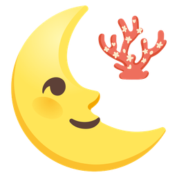 coral and last quarter moon face