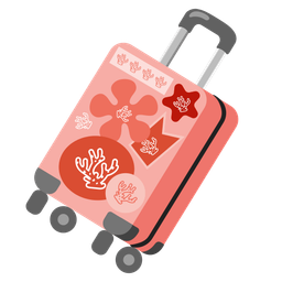 coral and luggage