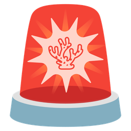 coral and police car light