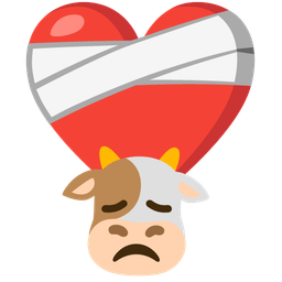 Cow face and Mending heart