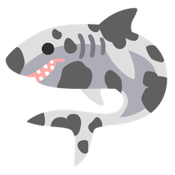 Cow face and Shark
