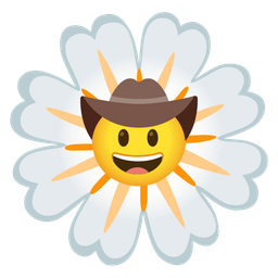 cowboy hat face and blossom