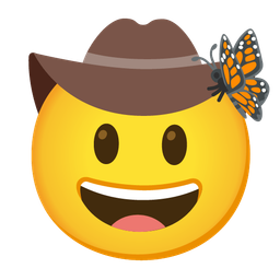 cowboy hat face and butterfly