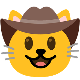 cowboy hat face and cat face