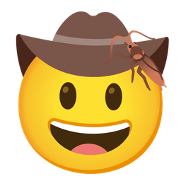 cowboy hat face and cockroach