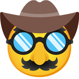 cowboy hat face and disguised face
