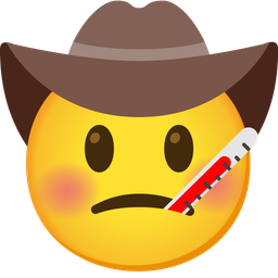 cowboy hat face and face with thermometer