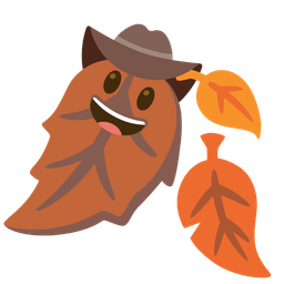 cowboy hat face and fallen leaf