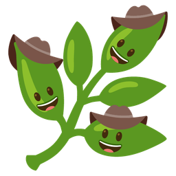 cowboy hat face and herb