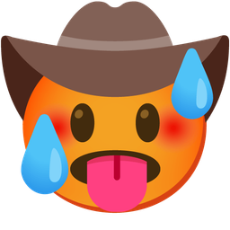 cowboy hat face and hot face