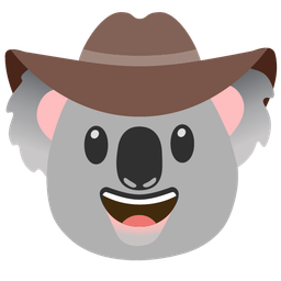 cowboy hat face and koala