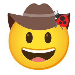 cowboy hat face and lady beetle