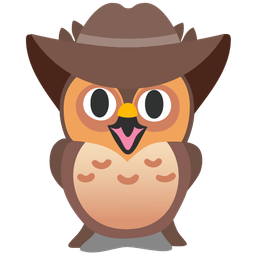 cowboy hat face and owl