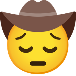 cowboy hat face and pensive face