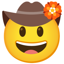 cowboy hat face and rosette