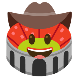 cowboy hat face and stadium