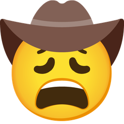 cowboy hat face and weary face