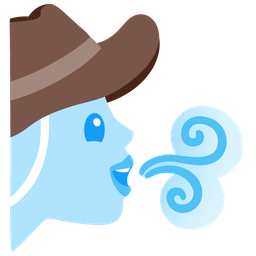 cowboy hat face and wind face