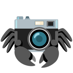 Crab and Camera
