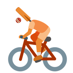 cricket game and bicycle
