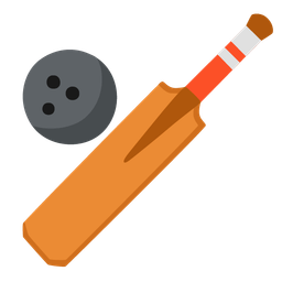 cricket game and bowling