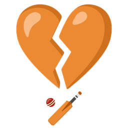 cricket game and broken heart
