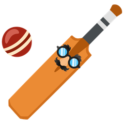 cricket game and disguised face