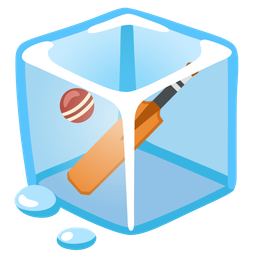 cricket game and ice