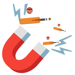 cricket game and magnet