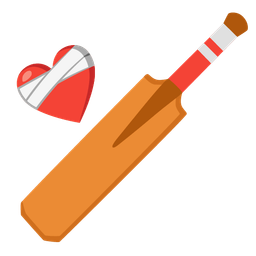 cricket game and mending heart