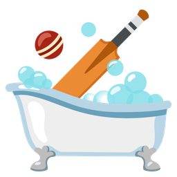cricket game and soap