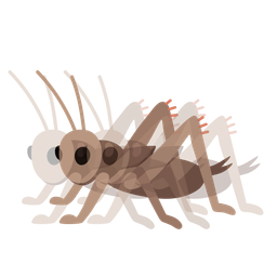 cricket and beating heart