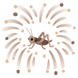 cricket and fireworks