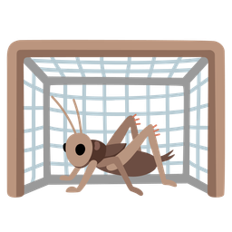 cricket and goal net