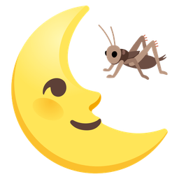 cricket and last quarter moon face