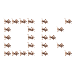 cricket and OK button