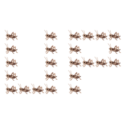 cricket and UP! button