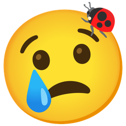 Crying face and Lady beetle