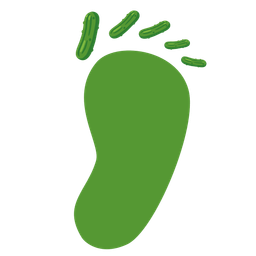 cucumber and footprints
