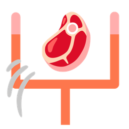 cut of meat and american football