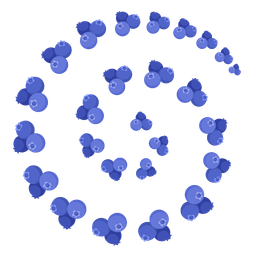 cyclone and blueberries