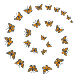 cyclone and butterfly