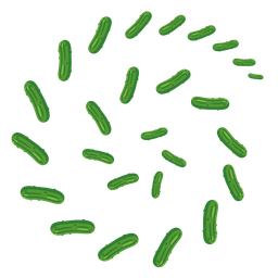 cyclone and cucumber