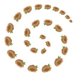 cyclone and empty nest