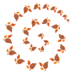 cyclone and fallen leaf