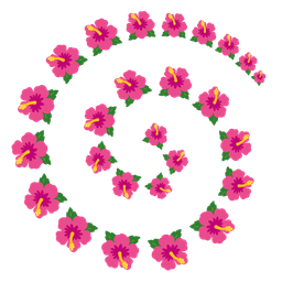 cyclone and hibiscus