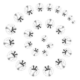 cyclone and martial arts uniform